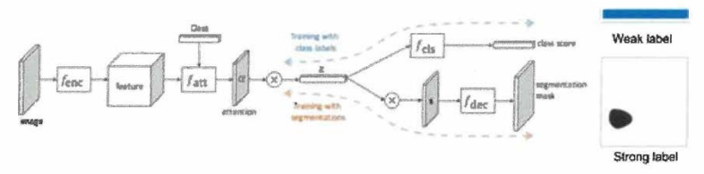 Weekly and Semi Supervised Semantic Segmentation 구조