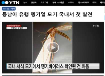 국내 최초 뎅기 바이러스 발견 (출처 : 2019년 7월 초 인천 영종도 을왕산에서 채집한 모기에서 뎅기바이러스 유전자 발견)