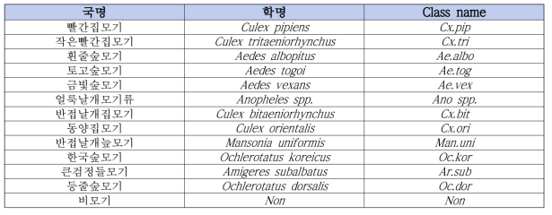 Dataset 구축에 사용된 모기 class name 명명