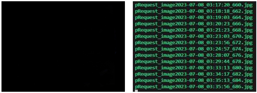 촬영 오류로 발생한 검은 화면 및 2씩 증가하는 이미지 라벨