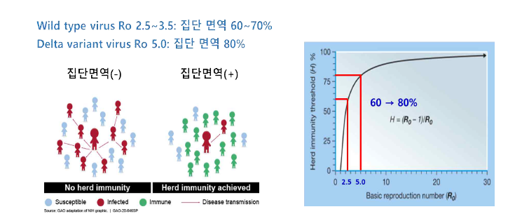 COVID-19의 기초 감염재생산지수(R0)를 고려했을 때 필요한 집단면역 수준