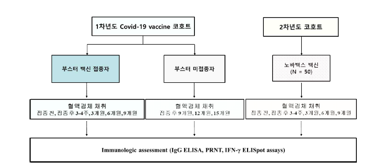 2차년도 코로나19 백신 접종 후 장기면역원성 평가