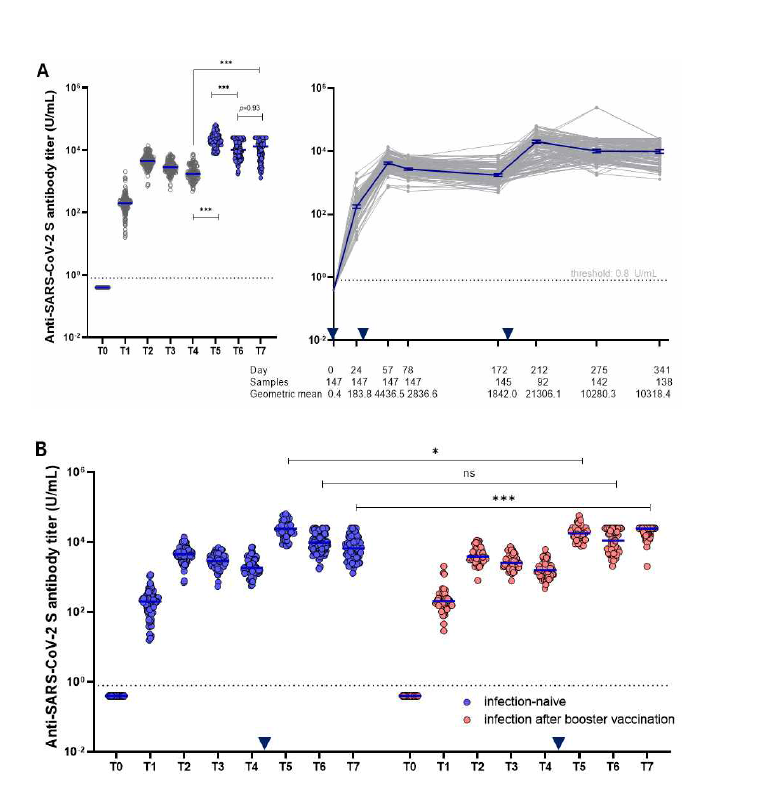 A. 부스터 접종자(147명)의 시간 경과에 따른 결합항체가 추이. B. 연구기간 내내 감염 이력이 없다고 보고한 참여자와, 부스터 접종 이후 감염 이력이 있는 참여자간의 결합항체 추이 비교 (* p<0.05, ** p<0.01, *** p<0.001)