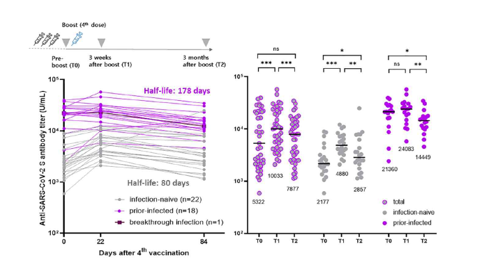 노바백스 백신 접종자에서 anti-SARS-CoV-2 spike protein (anti-S) IgG 항체 역가의 변화: 접종 차수와 기감염력에 따른 비교
