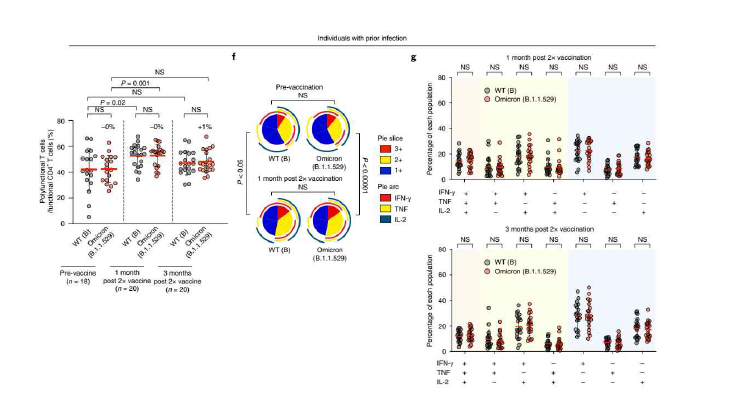 기감염자에서 wild-type (WT)과 Omicron spike protein에 대한 memory CD4+ T-cell의 polyfunctionality 평가