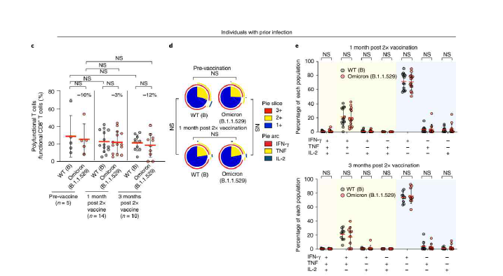 기감염자에서 wild-type (WT)과 Omicron spike protein에 대한 memory CD8+ T-cell의 polyfunctionality 평가