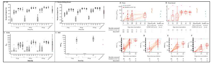 mRNA 백신과 AdV vector vaccine의 면역원성 평가연구 (N Engl J Med. 2020 Nov 12;383(20):1920-1931; Lancet . 2020 Aug 15;396(10249):467-478.)