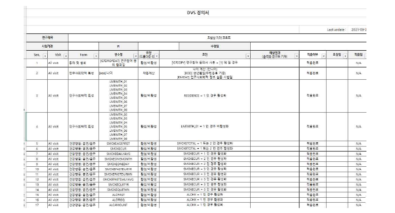 DVS 정의서 설정 자료