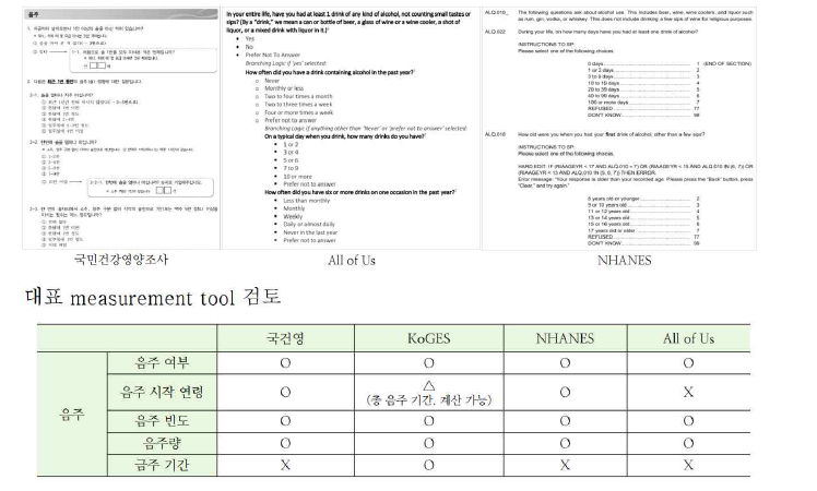 대표 measurement tool 검토 예시: 음주