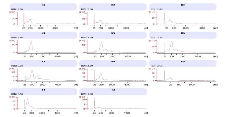miRNA의 QC 및 exosomal RNA 농도 측정 그래프