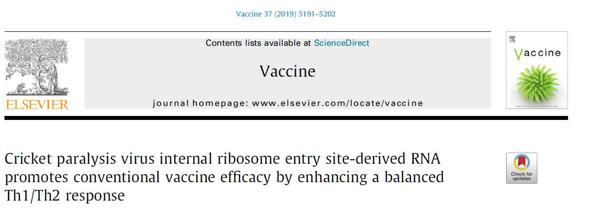 CrPV IRES를 이용한 RNA 면역증강제에 대한 연구논문 (출처: Kwak et al, Vaccine, 37, 5191-5202, 2019)