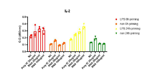 BMDC에 RNA adjuvant 처리 후, 시간별 cytokine 측 정 (IL-2)
