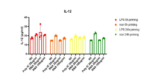 BMDC에 RNA adjuvant 처리 후, 시간별 cytokine 측정 (IL-12)