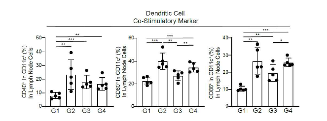 림프절에서의 RNA adjuvant가 유도하는 항원제시세포 확인 (FACs 분석)