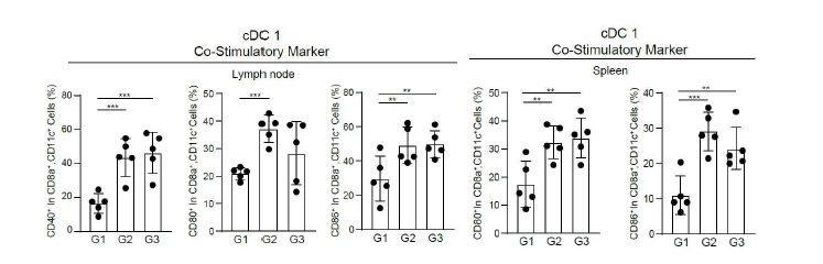 RNA adjuvant에 의해 면역 부위인 근육 조직에 유도되는 항원제시세포 확인 (FACS 분석)