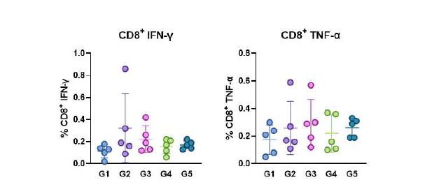 T cell activation 관련 FACS 분석 (2차 면역 1주 후 splenocyte)