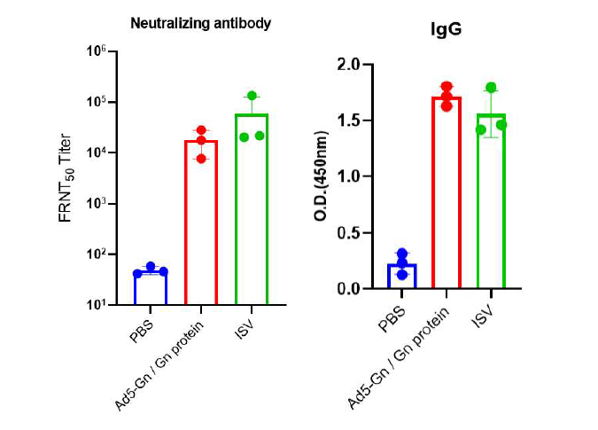 중화항체 및 IgG 항체가 비교 (면역 수행 후 8주차 혈장)