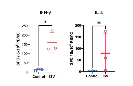IFN-r, IL-4 ELISpot (2차 면역 4주후 혈액에서 분리한 PBMC)