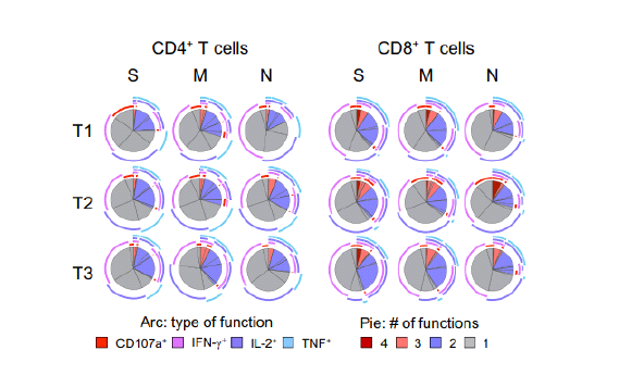 Pie charts for polyfunctionality of SARS-CoV-2-specific T cells.