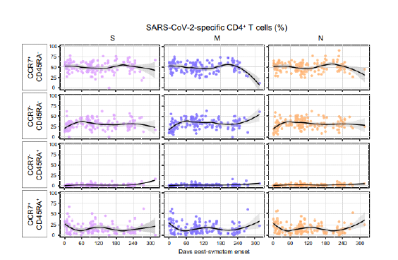 Differentiation status of SARS-CoV-2-specific AIM+ CD4+ T cells.