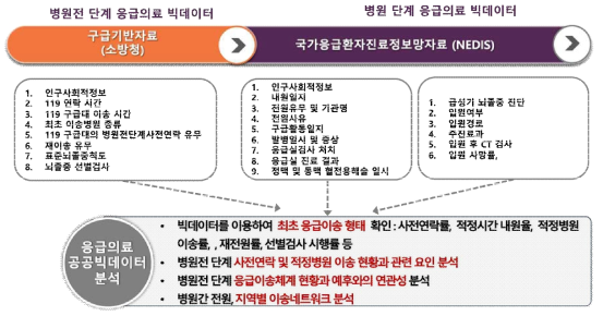 급성기 뇌졸중 응급의료 병원 전 단계 (구급기반자료)-병원 단계 (NEDIS)