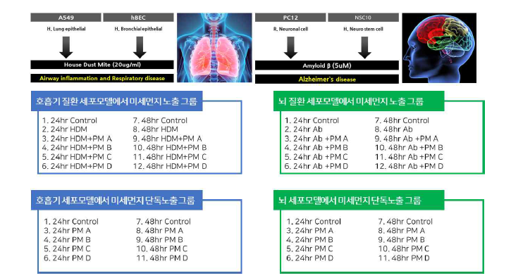 호흡기, 신경질환 유발을 위한 자극제와 실험 그룹