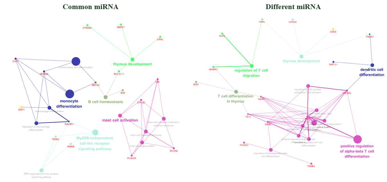 Common and different gene networks