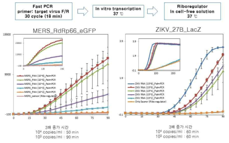 페이퍼 센서의 Riboregulator와 Fast PCR 결합을 통한 민감도 개선 효과