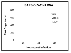 여러 세포주에서 qRT-PCR을 통한 progeny virus 확인