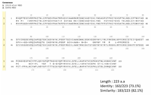 신종코로나바이러스와 SARS-CoV 의 RBD domain alignment