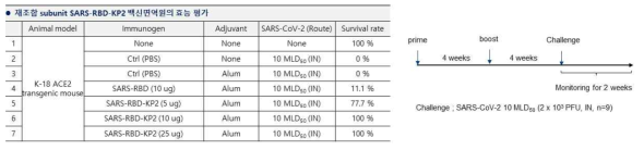 SARS-CoV-2 재조합 백신 전임상 후보물질 효능 검증 요약표 및 연구 진행 모식도
