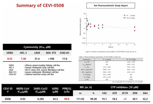 CEVI-508의 in vitro 약효, PK, cytotoxicity