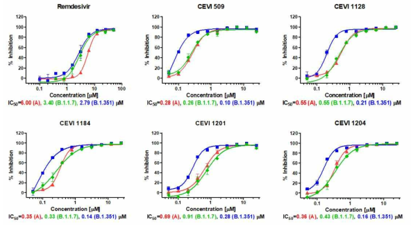 코로나 19 변이 바이러스에 대한 Vero 세포에서의 항 SARS-CoV-2 치료 후보물질 효능 확인