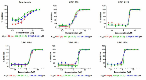 코로나 19 변이 바이러스에 대한 Calu3 세포에서의 항 SARS-CoV-2 치료후보 물질 효능 확인