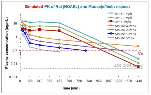 CEVI-1128의 rat과 mouse의 simulated PK
