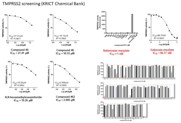 KRICT Chemical Bank Library의 TMPRSS2 screening 결과