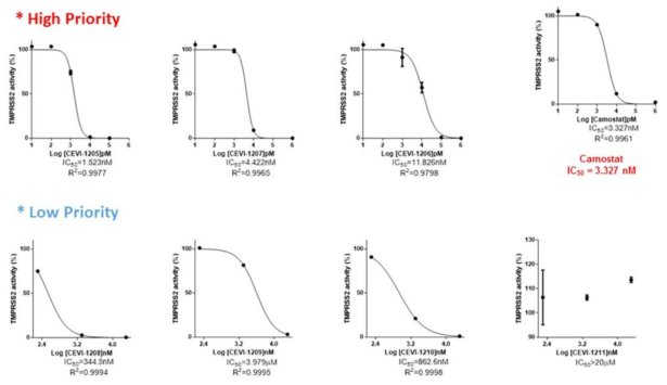 CEVI compounds의 TMPRSS2 screening 결과