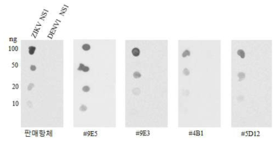 ZIKV NS1, DENV NS1 항원 단백질과 단클론 항체와의 닷블랏 결과