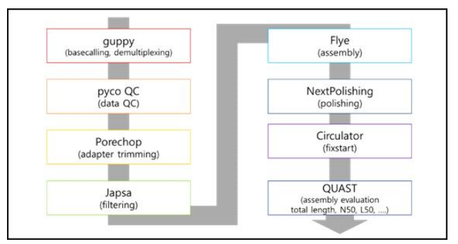 MicroPIPE workflow