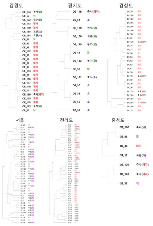 AST결과의 지역별 dendrogram