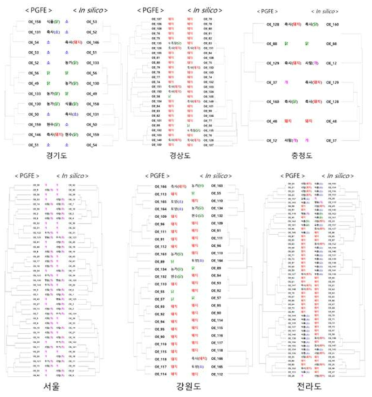 XbaI molecular typing과 in silico digestion 결과를 이용한 지역별 dendrogram