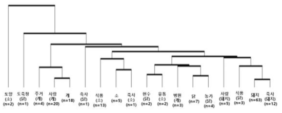 각 isolate에 있는 평균 ARG 수를 바탕으로 dendrogram을 그려본 결과