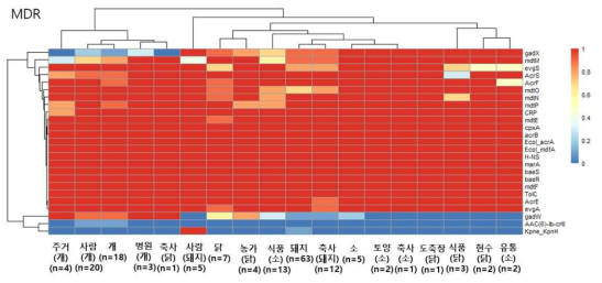 MDR에 해당하는 ARG를 가지고 있는 isolate의 비율을 분리원별로 구분한 heatmap