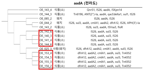 aadA 유전자의 ±5000 bp 부위 MGE와 ARG 간의 관계를 나타낸 그림(전라도).(붉은 상자 부위는 clonal isolate를 나타낸다.)