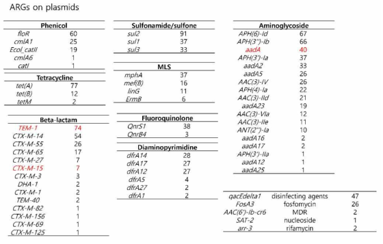 플라스미드에 존재하는 항생제 내성 유전자