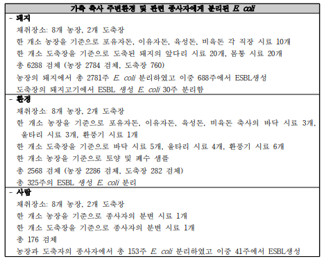 가축 축사 주변환경 및 관련 종사자에게 분리된 E. coli 현황