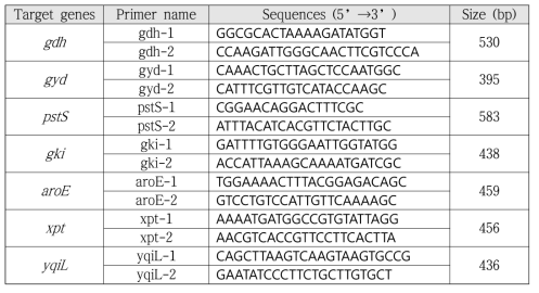 E. faecalis 용 primer pair sequences