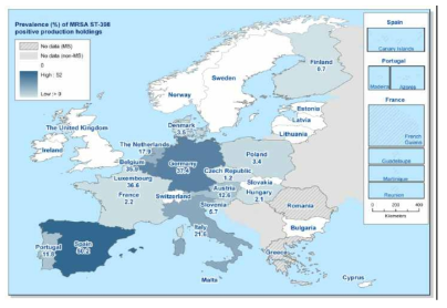 유럽 주요국가에서의 양돈분야 MRSA 발생현황