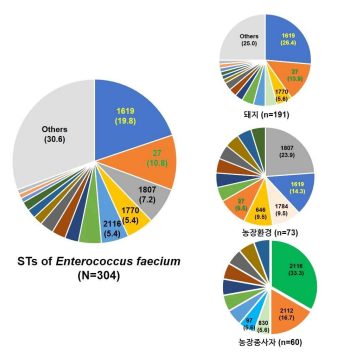 양돈농장 유래 E. faecium 분리주들의 ST 빈도