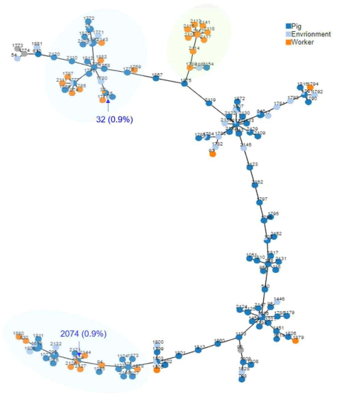 양돈농장 유래 종사자, 돼지, 환경에서 분리된 340주의 Enterococcus faecium 분리주의 sequence types (STs) 간에 계통학적 분석